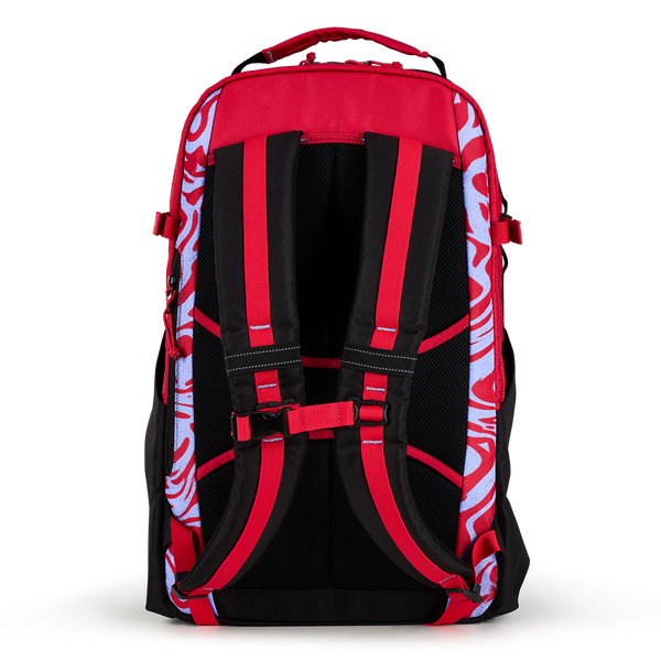 ALPHA 25L Backpack - View 41