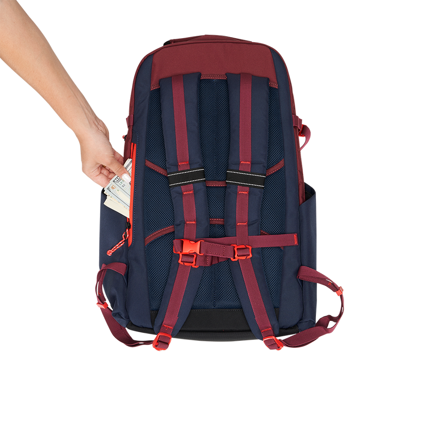 Alpha 25L Backpack - View 9