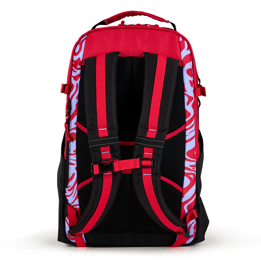 Alpha 25L Backpack - View 5