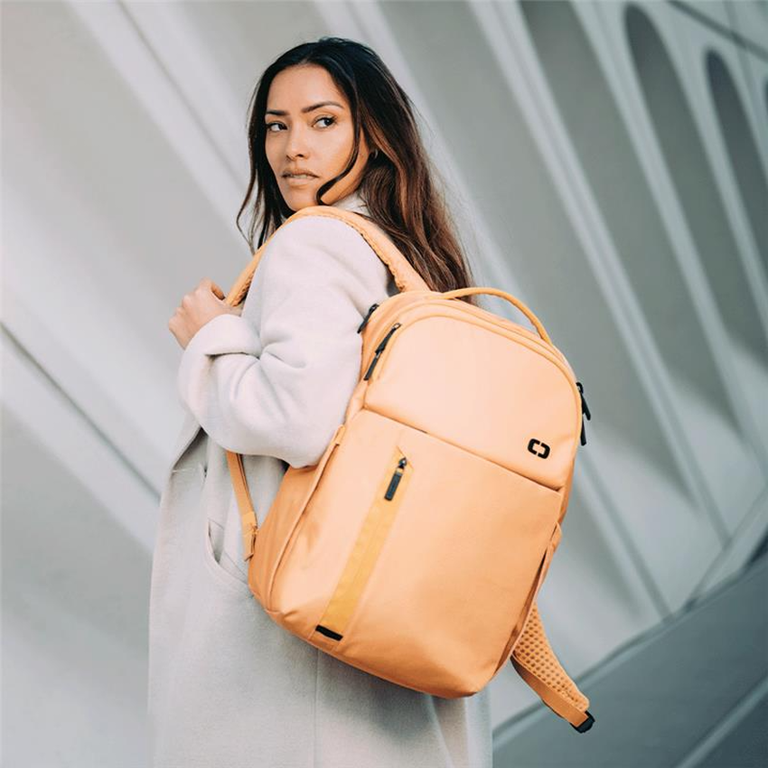 SAC &Agrave; DOS PACE PRO 20&nbsp;L - View 7