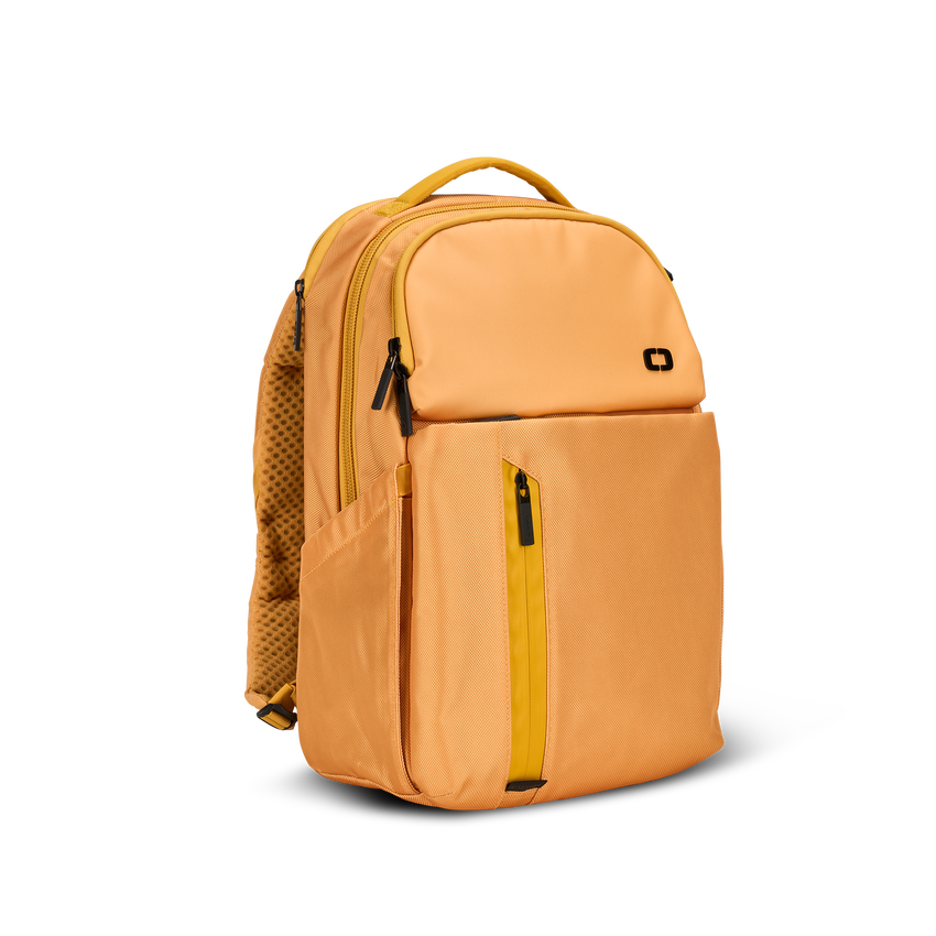 SAC &Agrave; DOS PACE PRO 20&nbsp;L - View 1