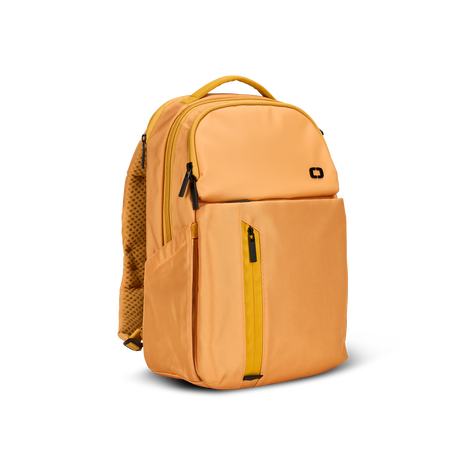 SAC &Agrave; DOS PACE PRO 20&nbsp;L Product Image