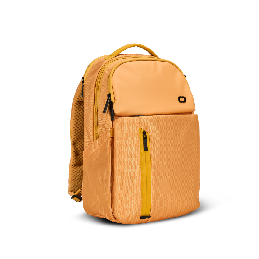 SAC &Agrave; DOS PACE PRO 20&nbsp;L - View 1