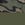 Greenwood