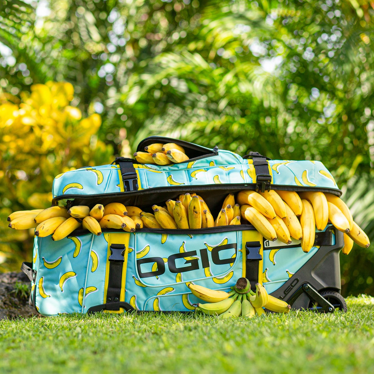 rig-9800-sugar-skulls-lifestyle-2